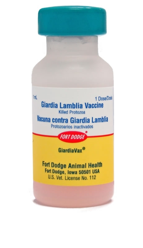 giardia vacuna para perros